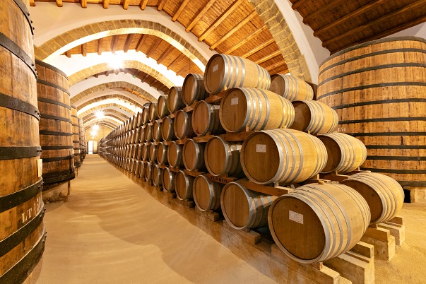 Florio cellar 5